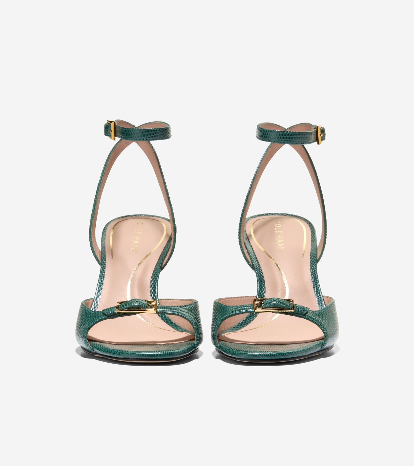 W33511:RAINFOREST LIZARD PRT LTR