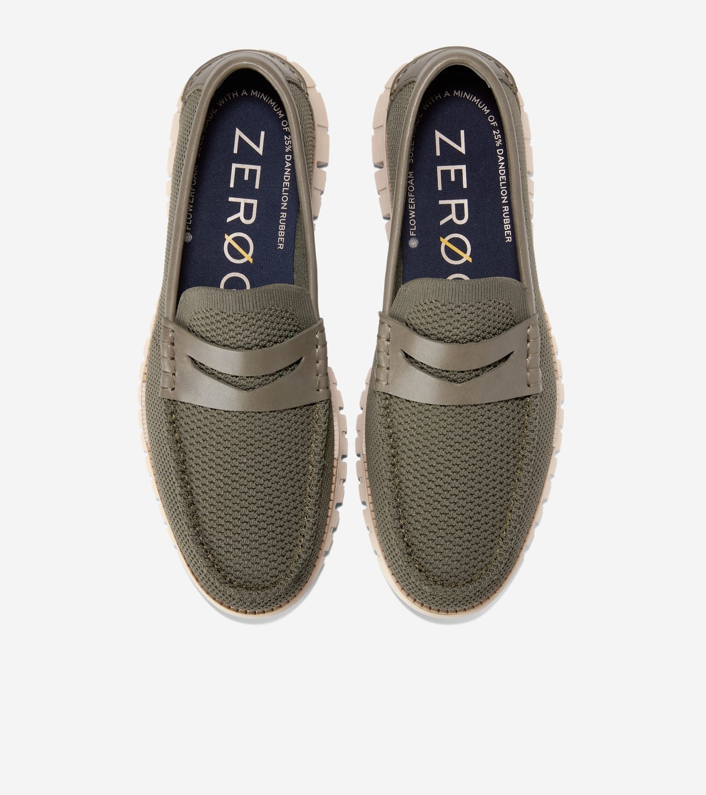 C42262:SEA TURTLE / NATURAL / CH OAT