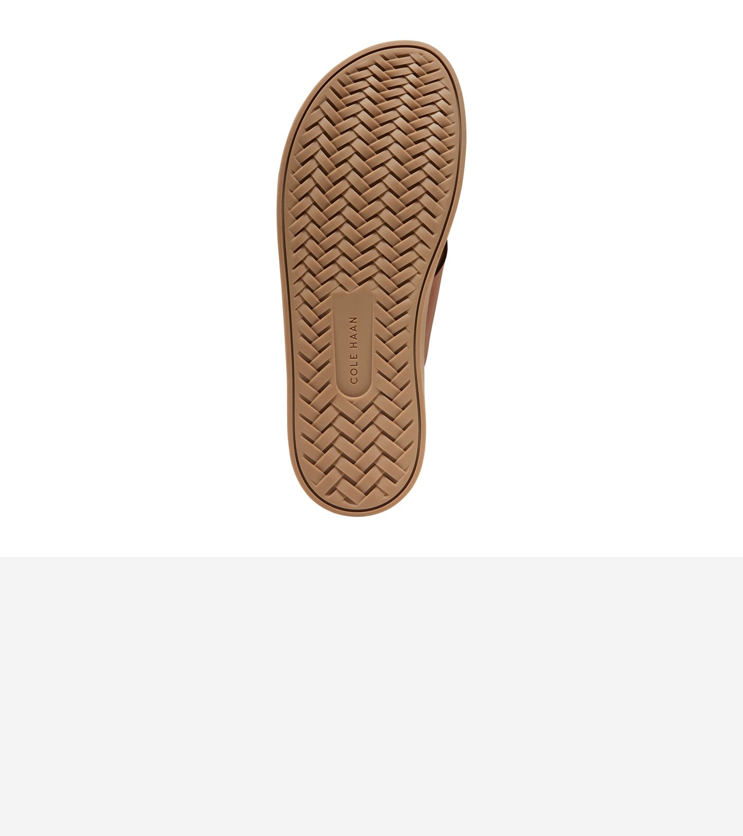 C38145:CH BRITISH TAN / CH DARK LATTE