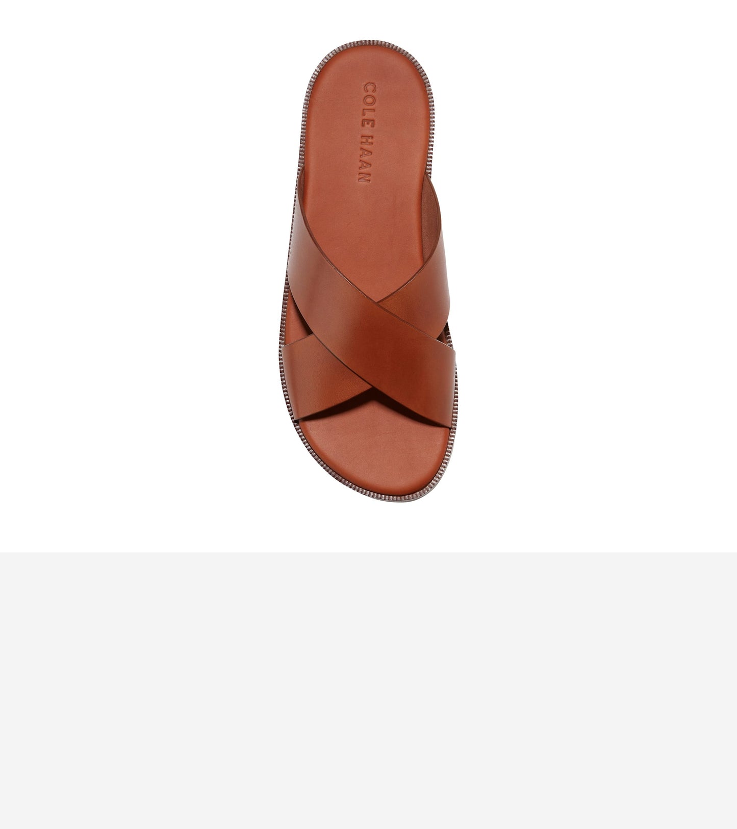C38145:CH BRITISH TAN / CH DARK LATTE