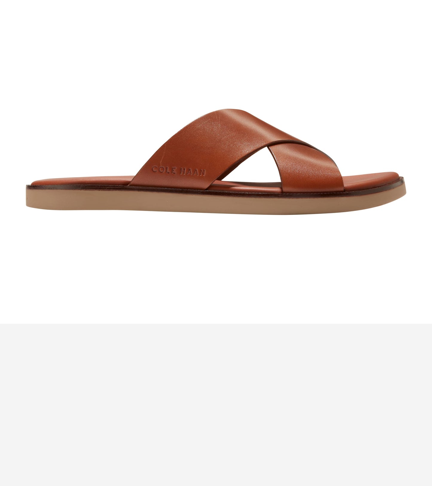 C38145:CH BRITISH TAN / CH DARK LATTE