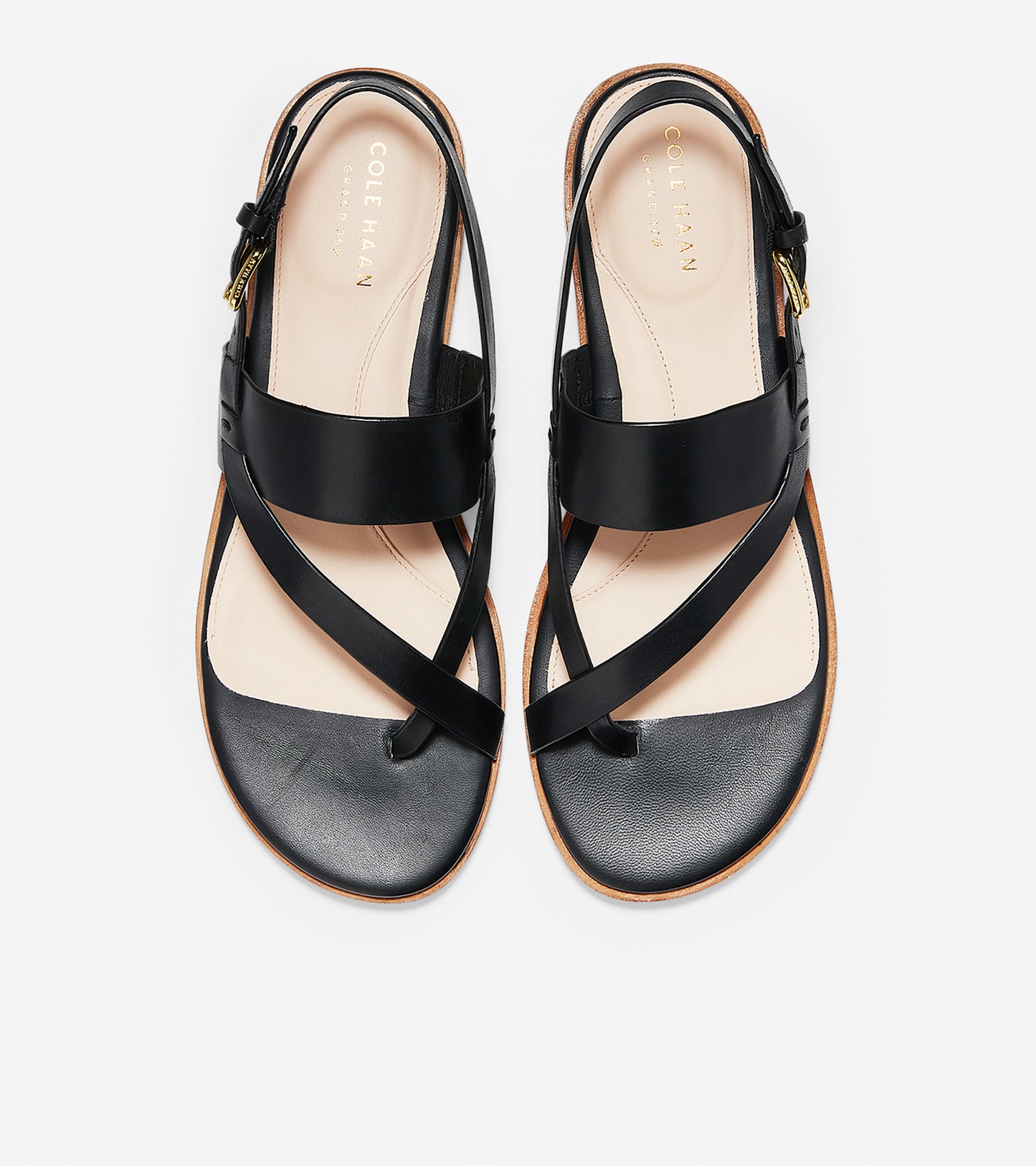 ColeHaan-Anica Thong Sandal-w07409-Black Leather
