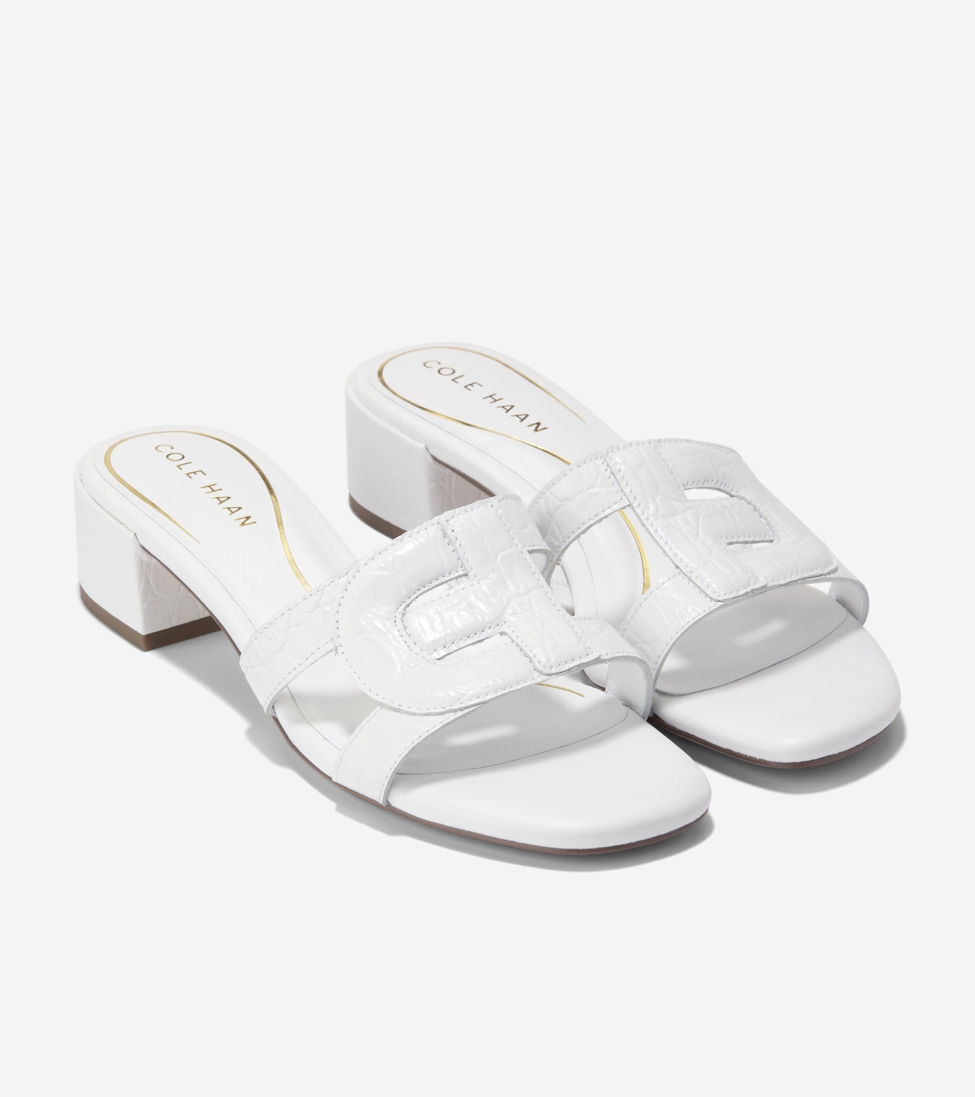 W31613:WHITE CROC PRT LTR