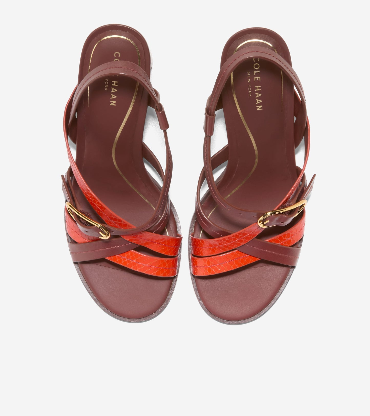 W36937:CH MAHOGANY LTHR / SUMMER FIG SNAKE PRINT LTHR