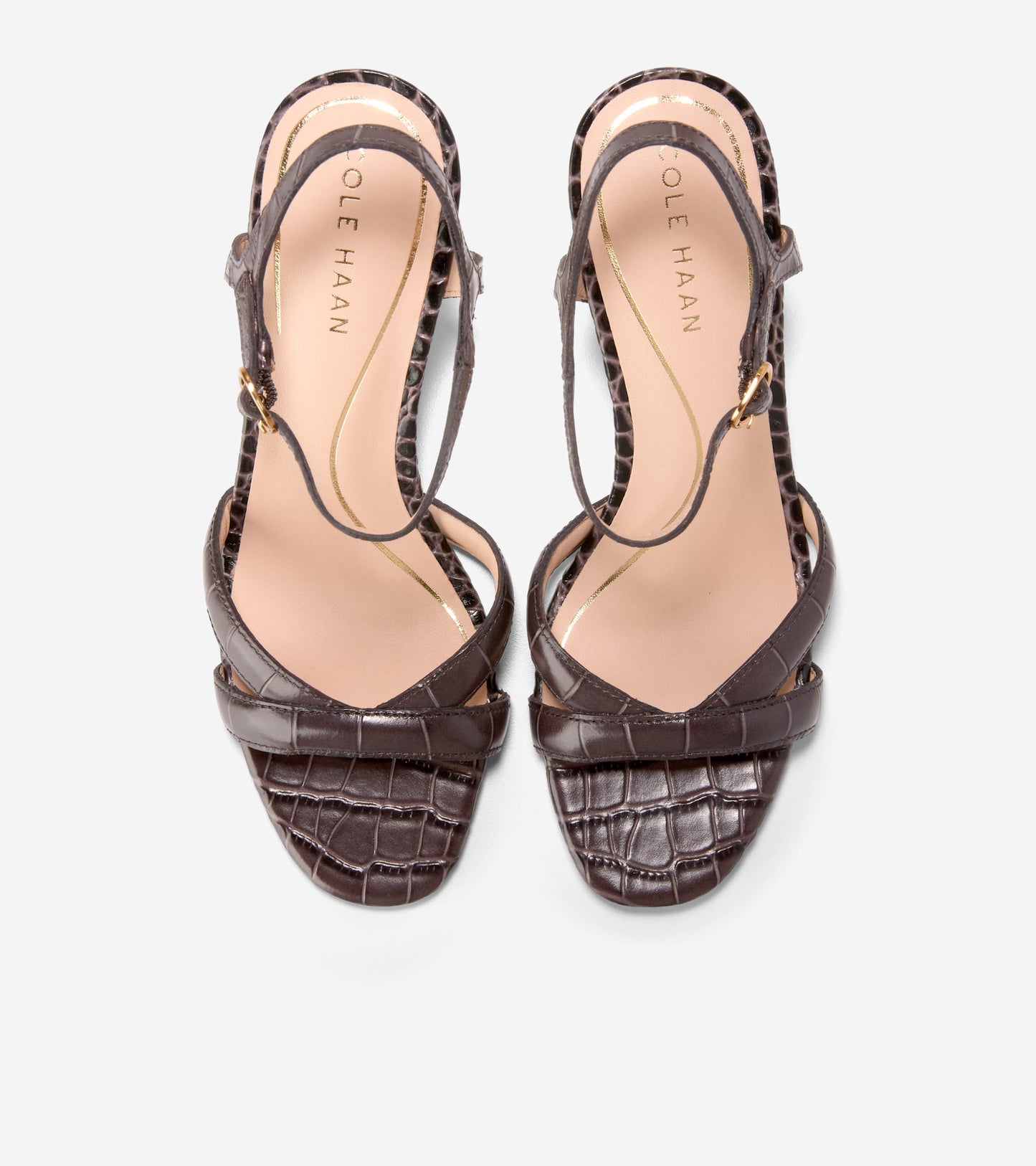 W34657:DK CHOCOLATE CROC PR LT