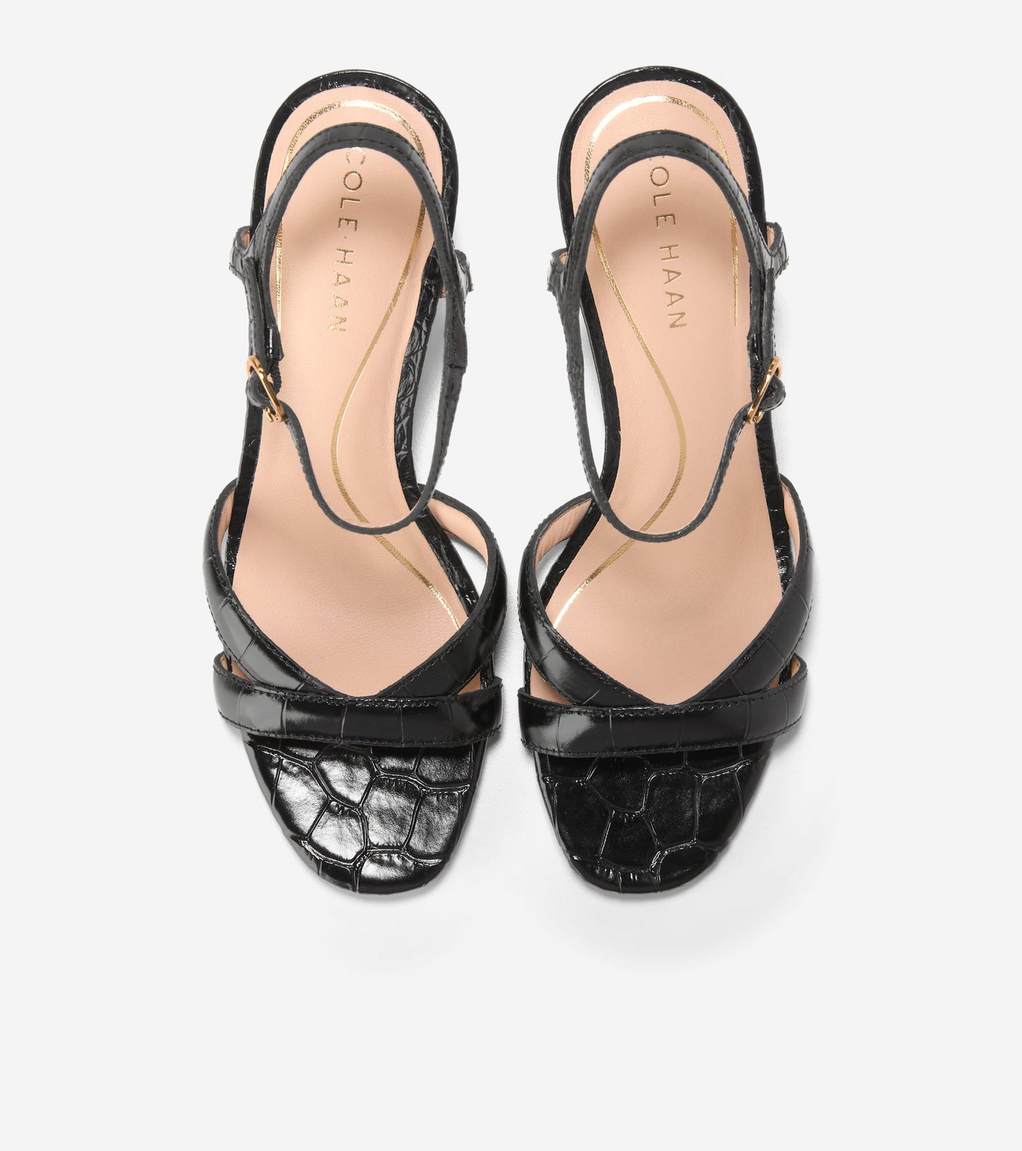 W34656:BLACK CROCO PRINT LEA