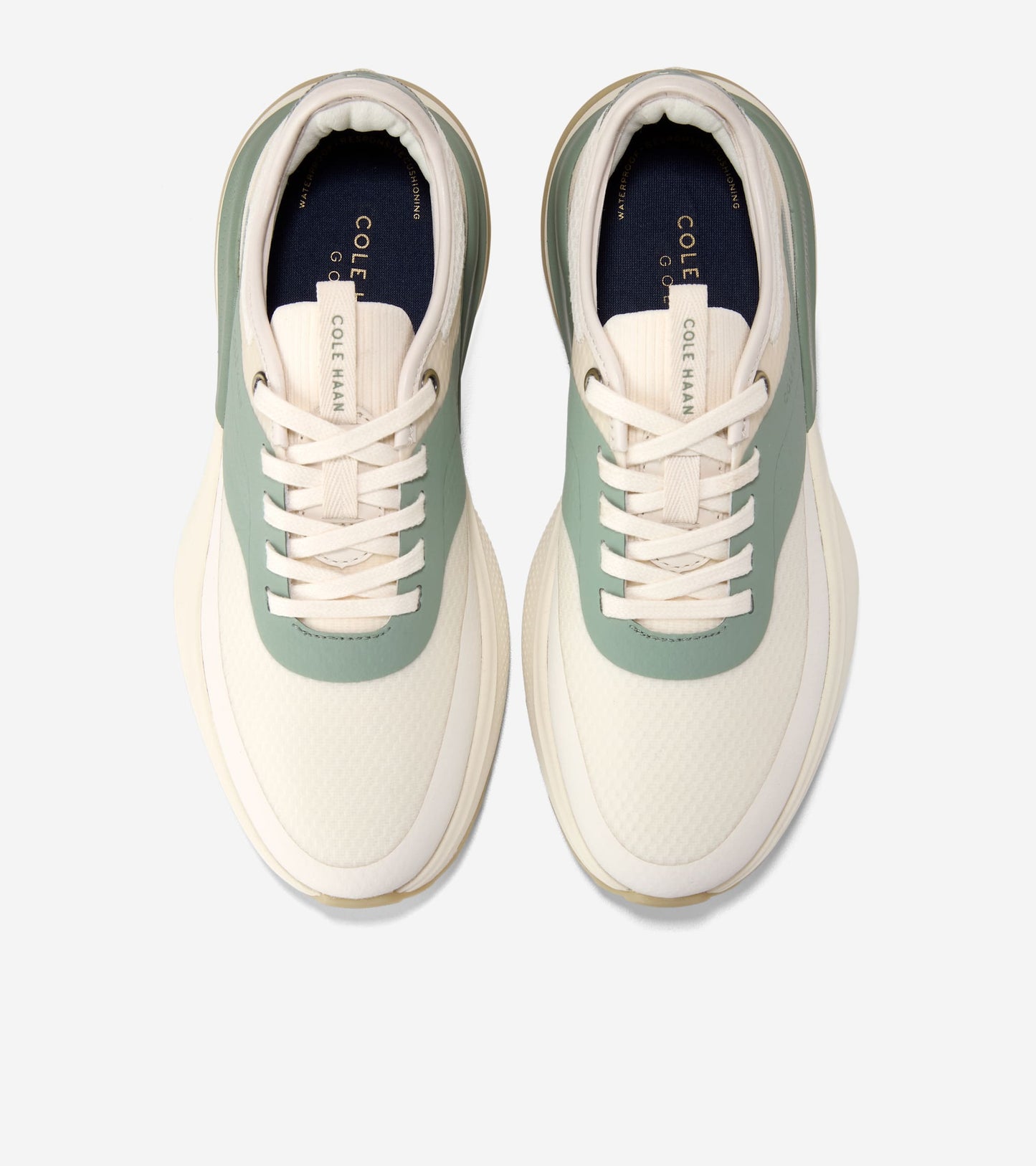 W36111:IVORY / LILY PAD / CH POWDER WP