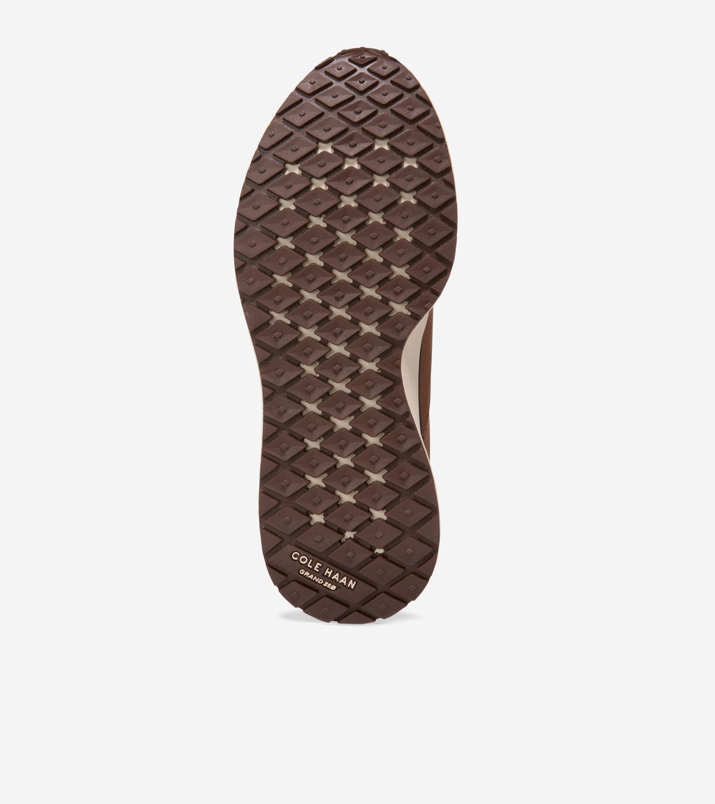 C43047:CH BRITISH TAN / CH MADEIRA / ANGORA