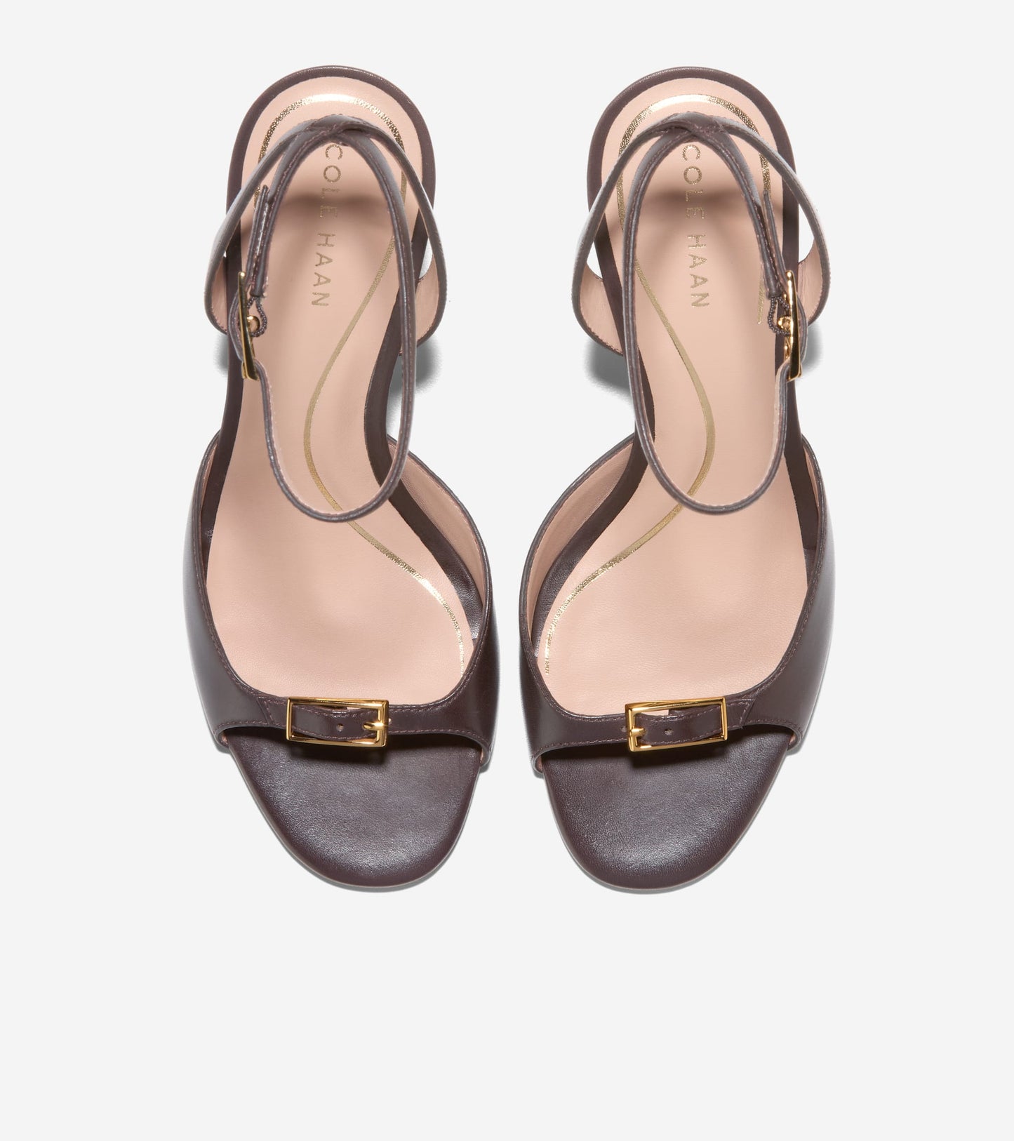 W33996:CH DK CHOCOLATE LTR