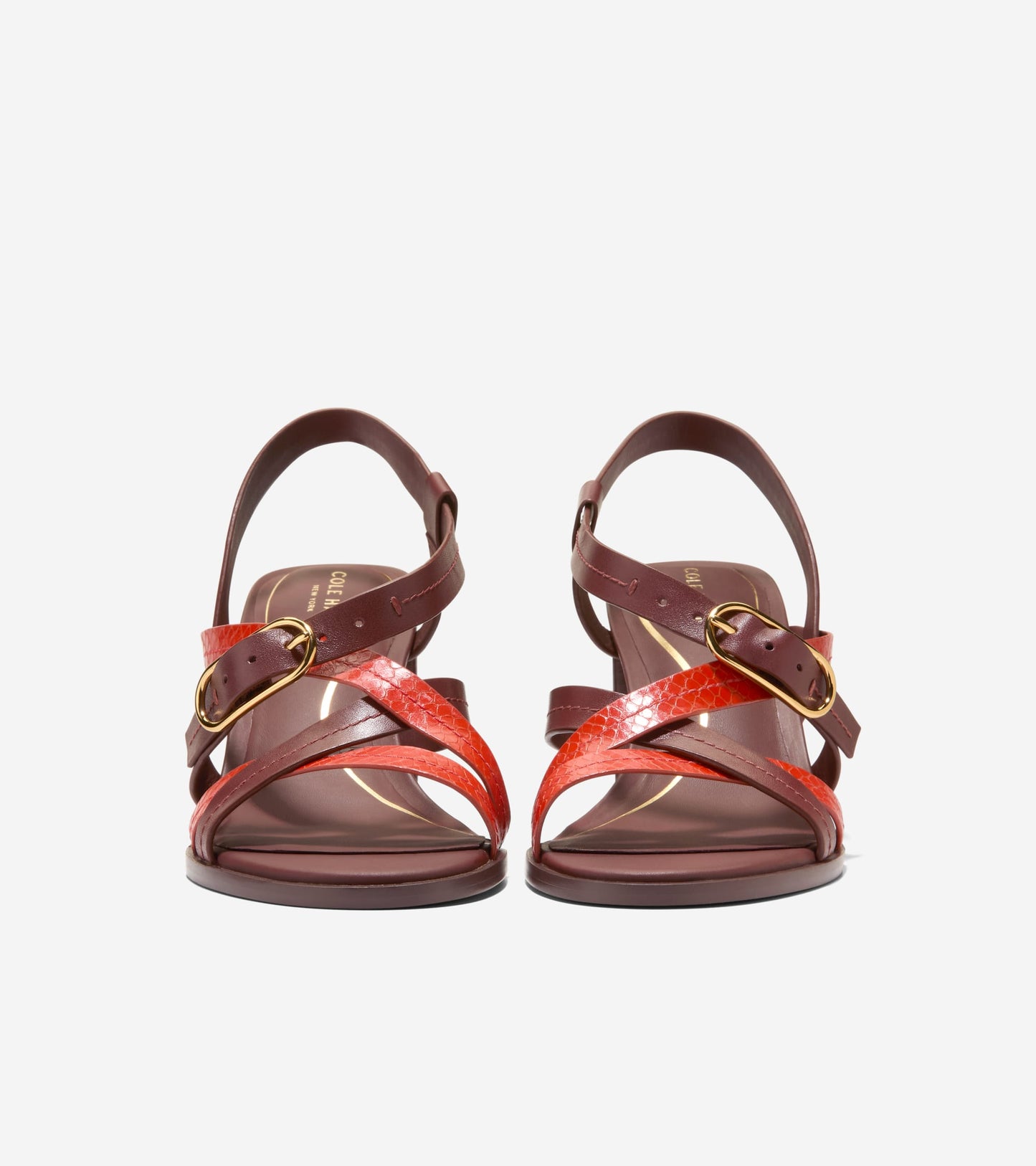 W36937:CH MAHOGANY LTHR / SUMMER FIG SNAKE PRINT LTHR