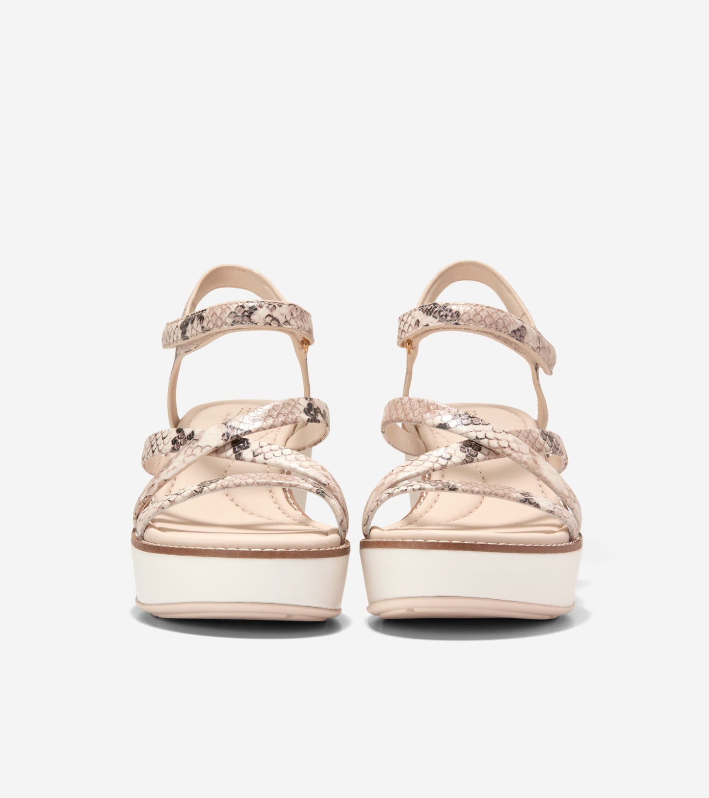 W36342:MOJAVE SNAKE PRINTED LEATHER / CH POWDER