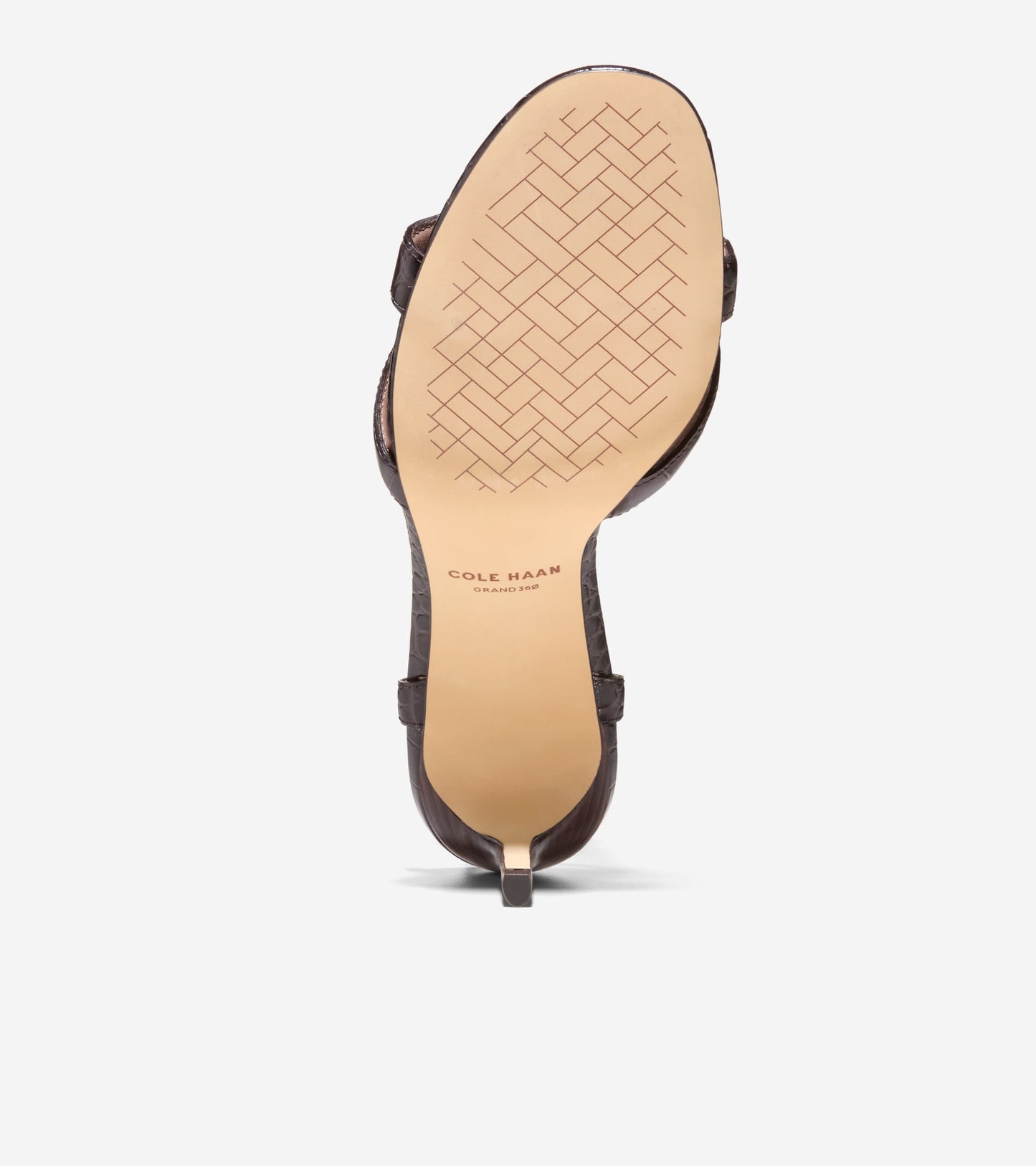 W34657:DK CHOCOLATE CROC PR LT