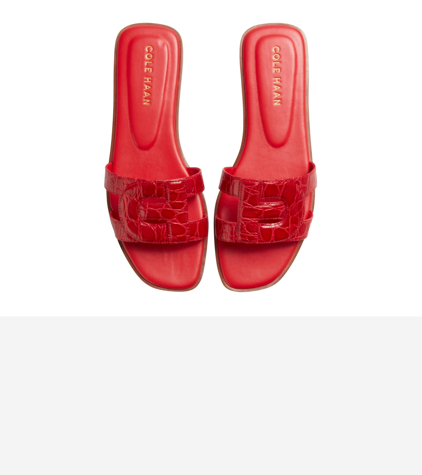 W29328:TRUE RED CROC PRT LTR