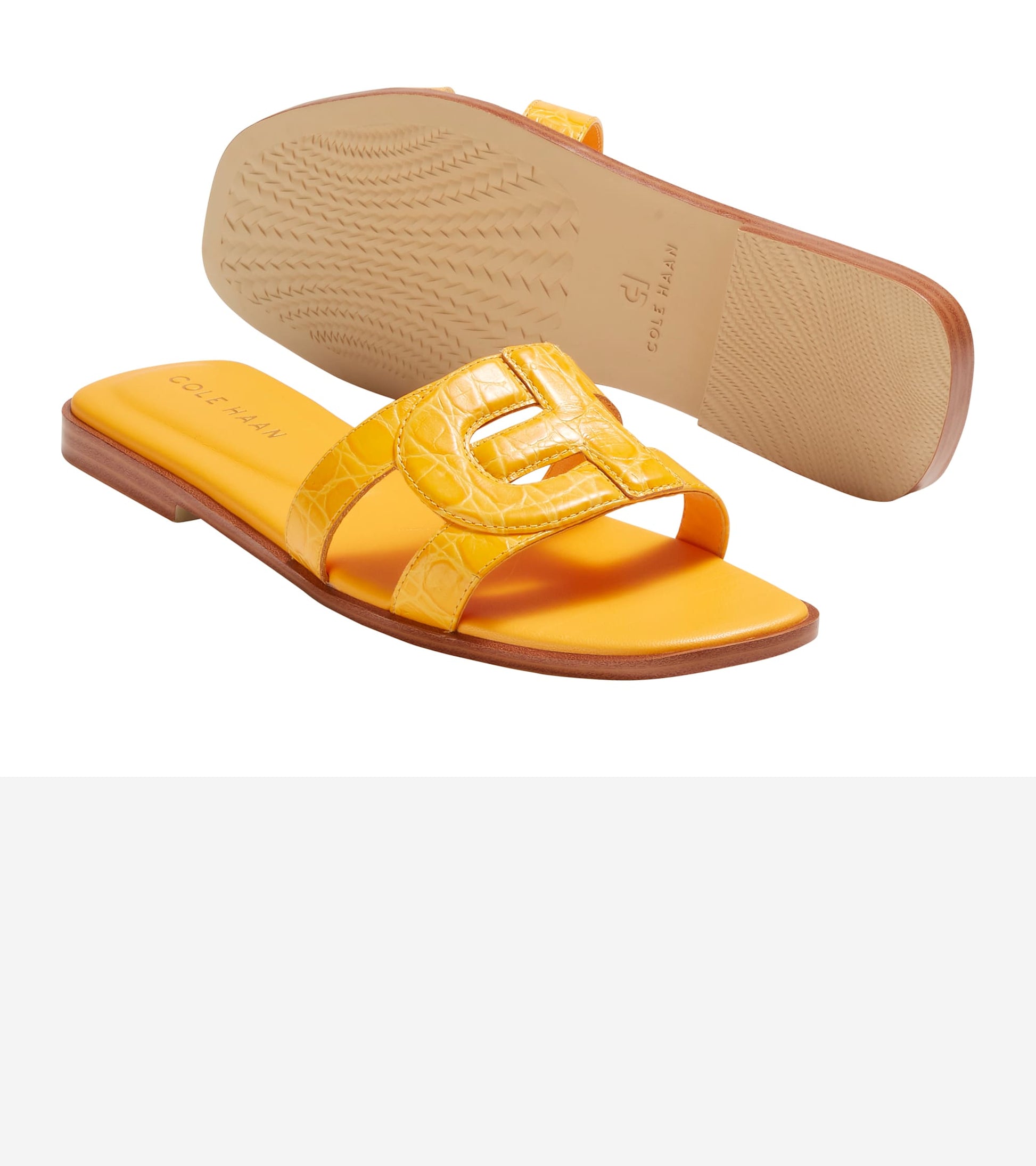 W30555:SAFFRON CROC PRT LTR