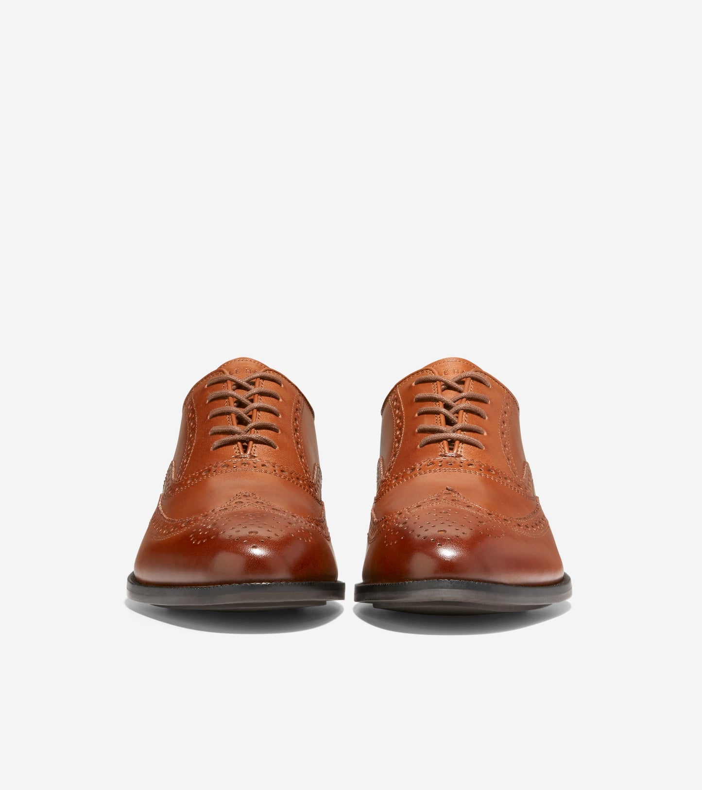 C37617:CH BRITISH TAN/CH DARK CHOCOLATE