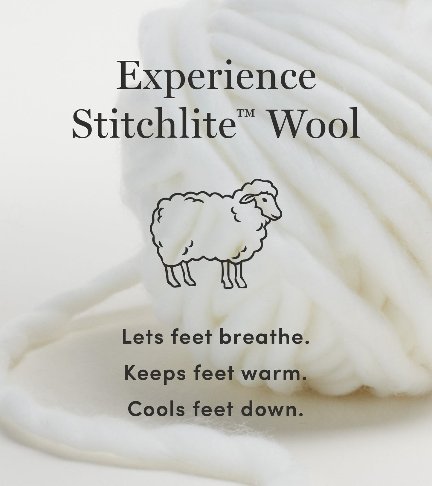 ColeHaan-ZERØGRAND Wingtip Oxford-w13200-Shifting Sand Stitchlite™ Wool