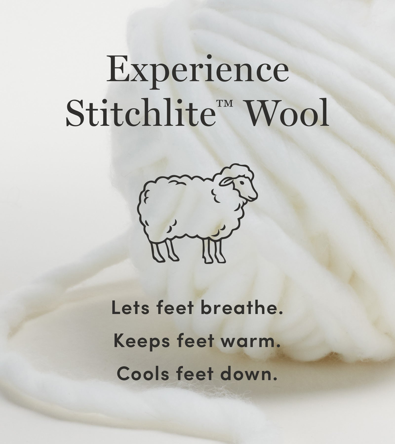 ColeHaan-ZERØGRAND Wingtip Oxford-w13200-Shifting Sand Stitchlite™ Wool