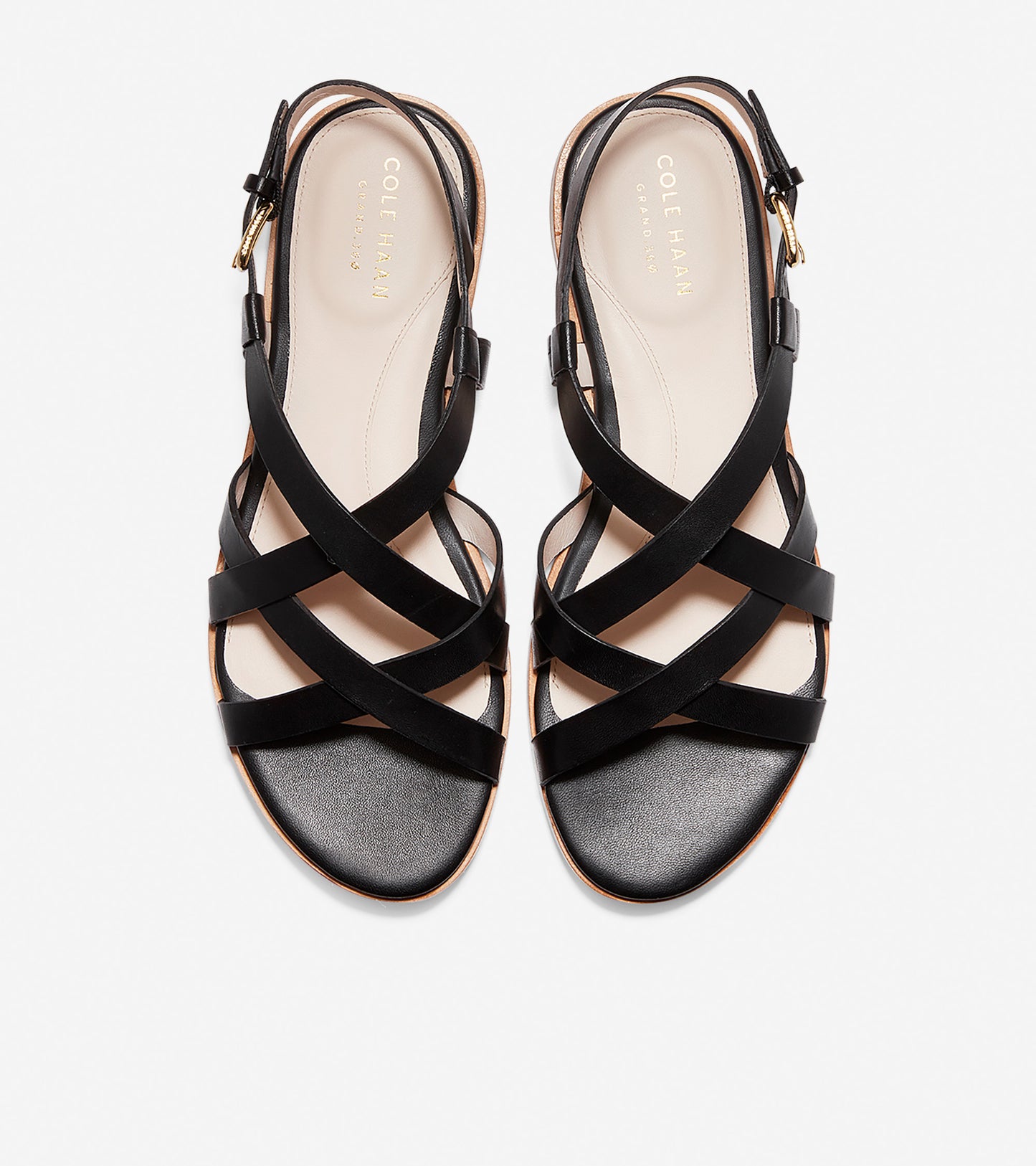 ColeHaan-Analeigh Grand Strappy Sandal-w14372-Black Leather