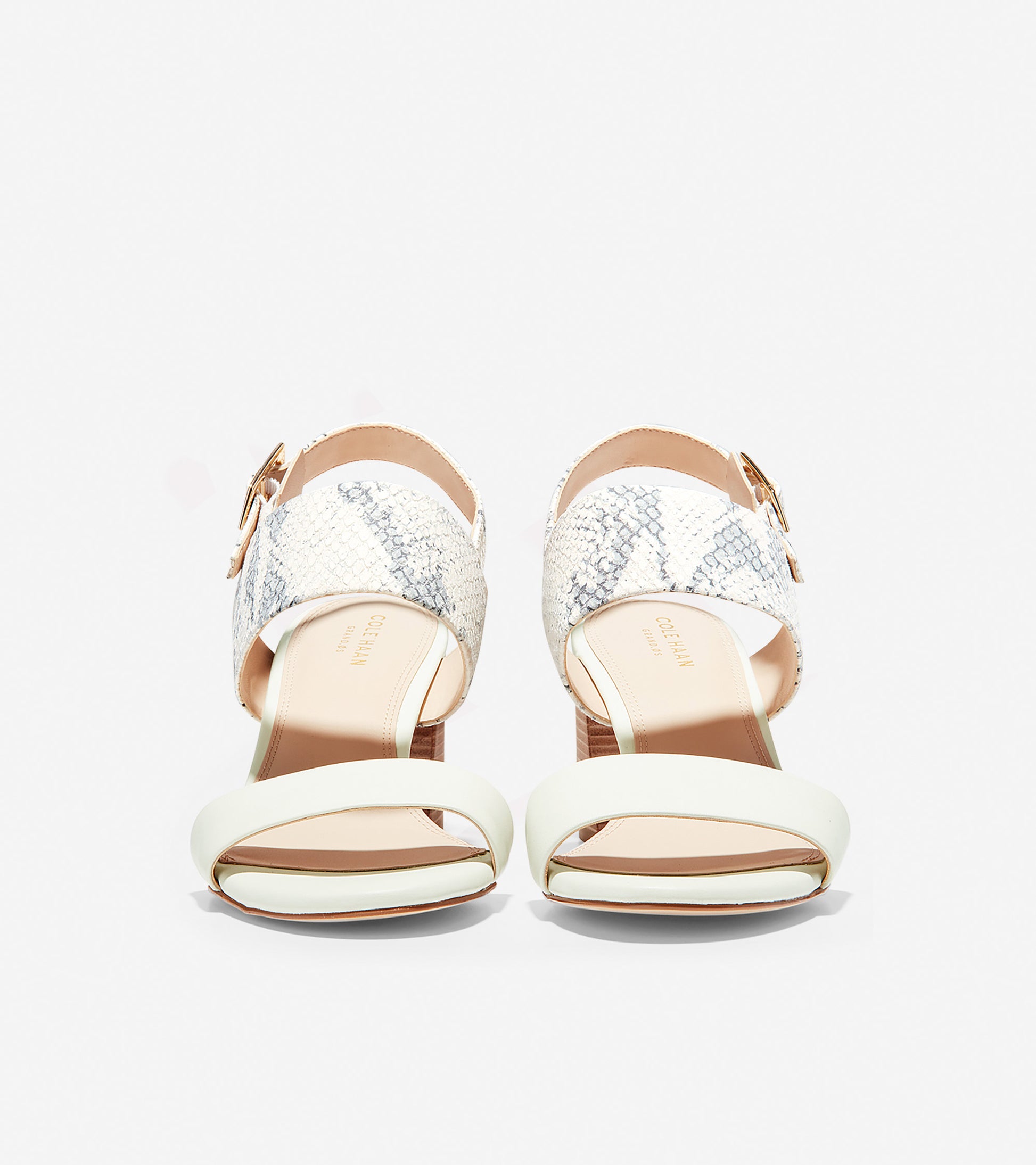 ColeHaan-Avani City Sandal-w14627-Ivory Leather-ivory Roccia Snake Print L