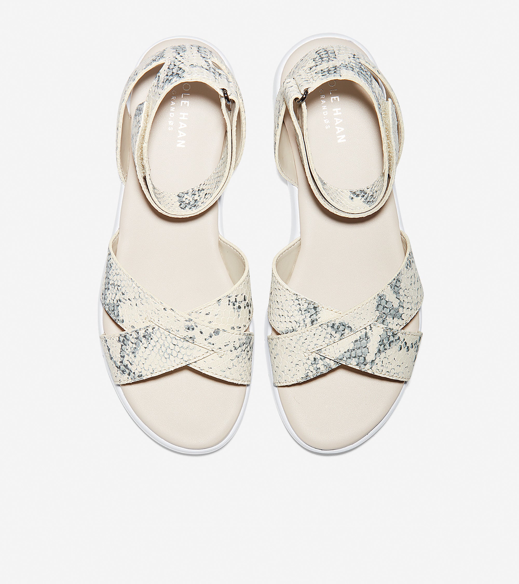 Cole haan roccia snake print online