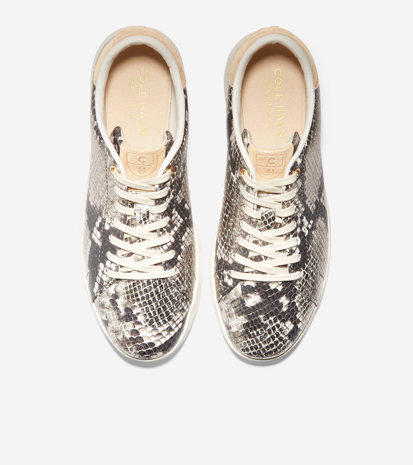 ColeHaan-GrandPrø Tennis Sneaker-w19324-Sparkle Snake Print