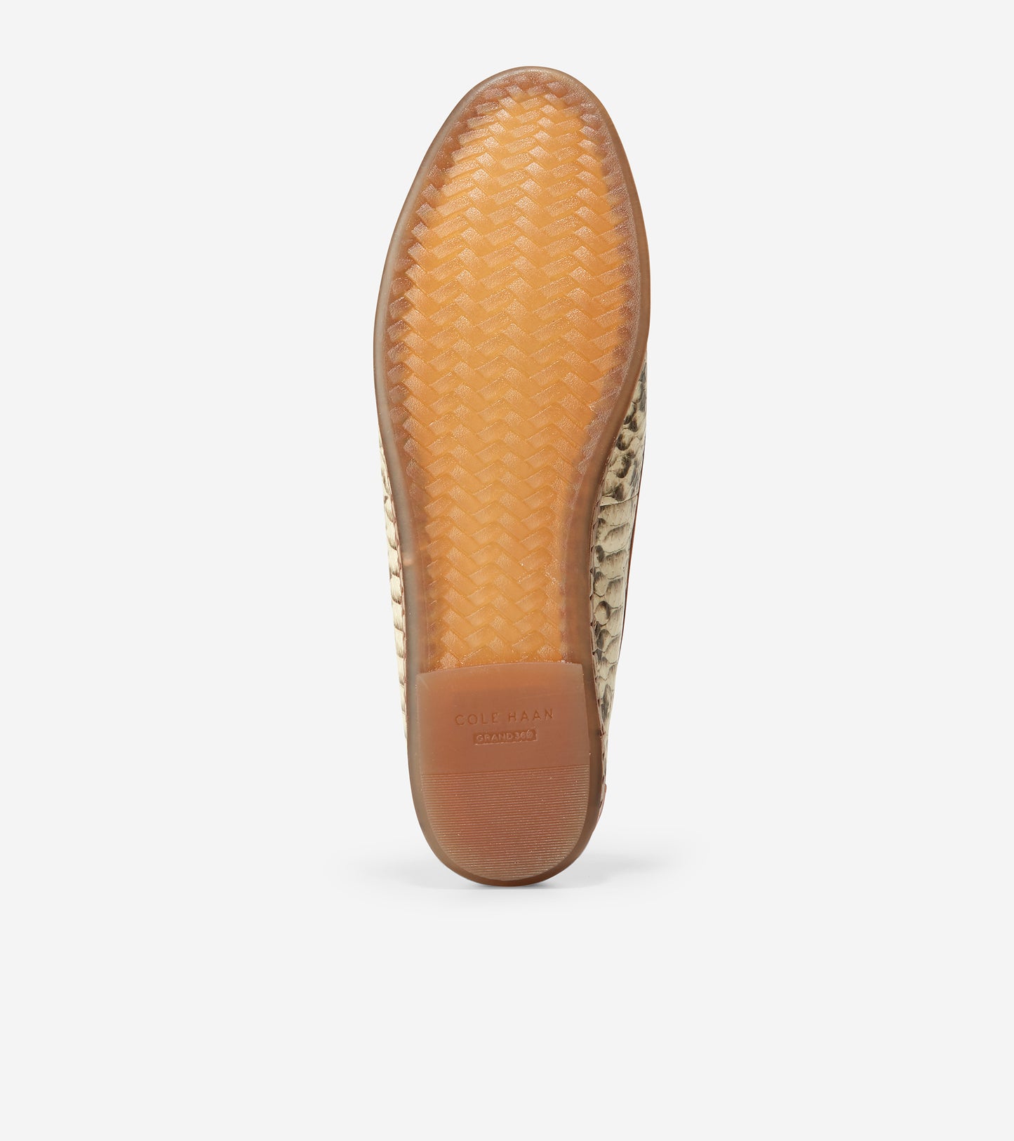 ColeHaan-Cloudfeel All-Day Ballet Flat-w21877-Crafted Snake Print