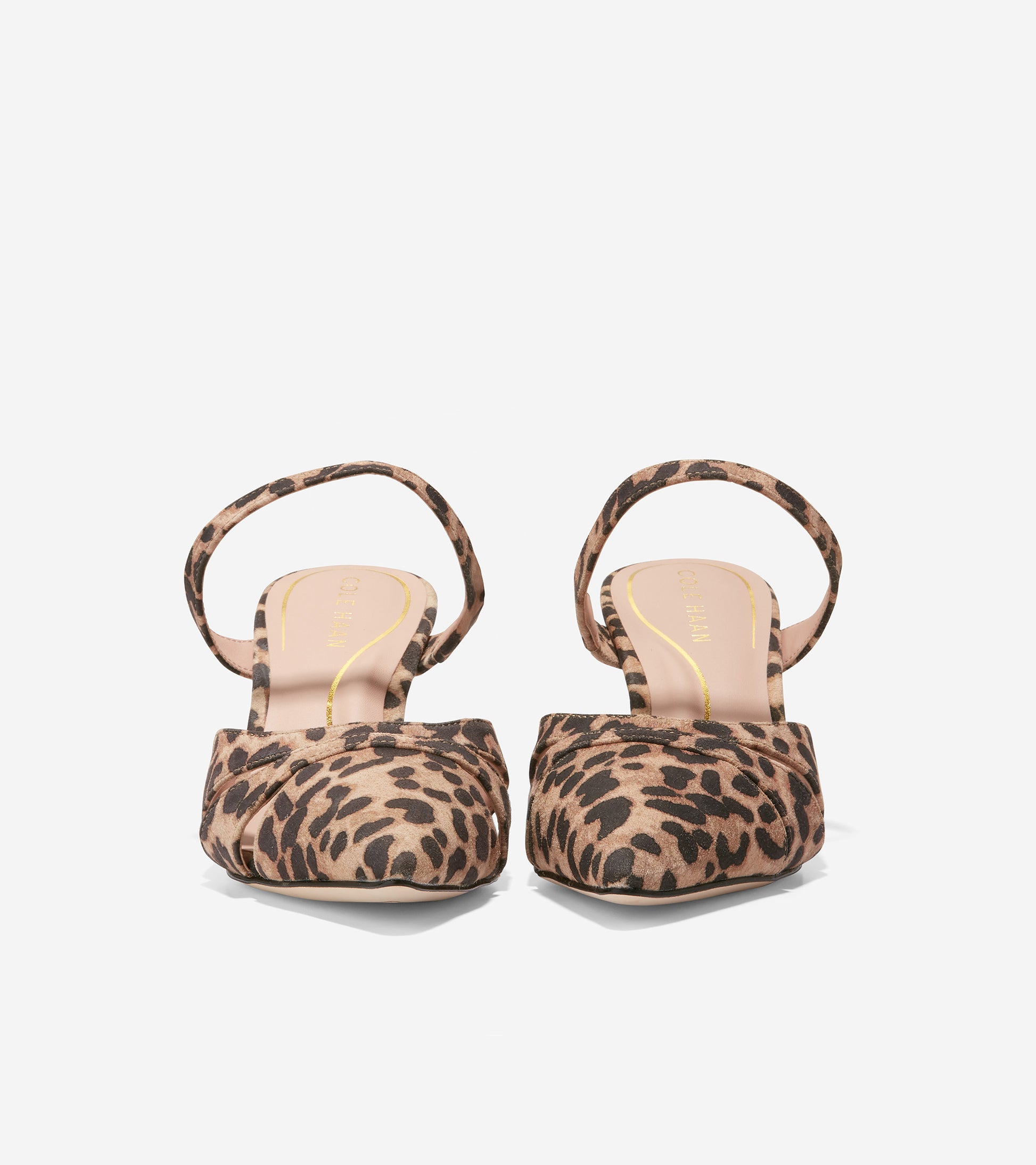 w26453-Vandam Mule-Leopard Print