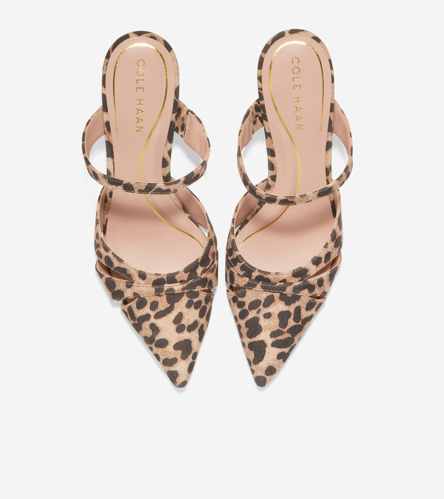 w26453-Vandam Mule-Leopard Print