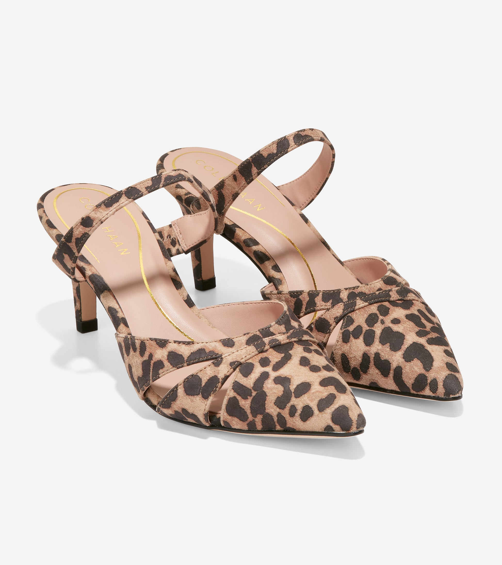 w26453-Vandam Mule-Leopard Print